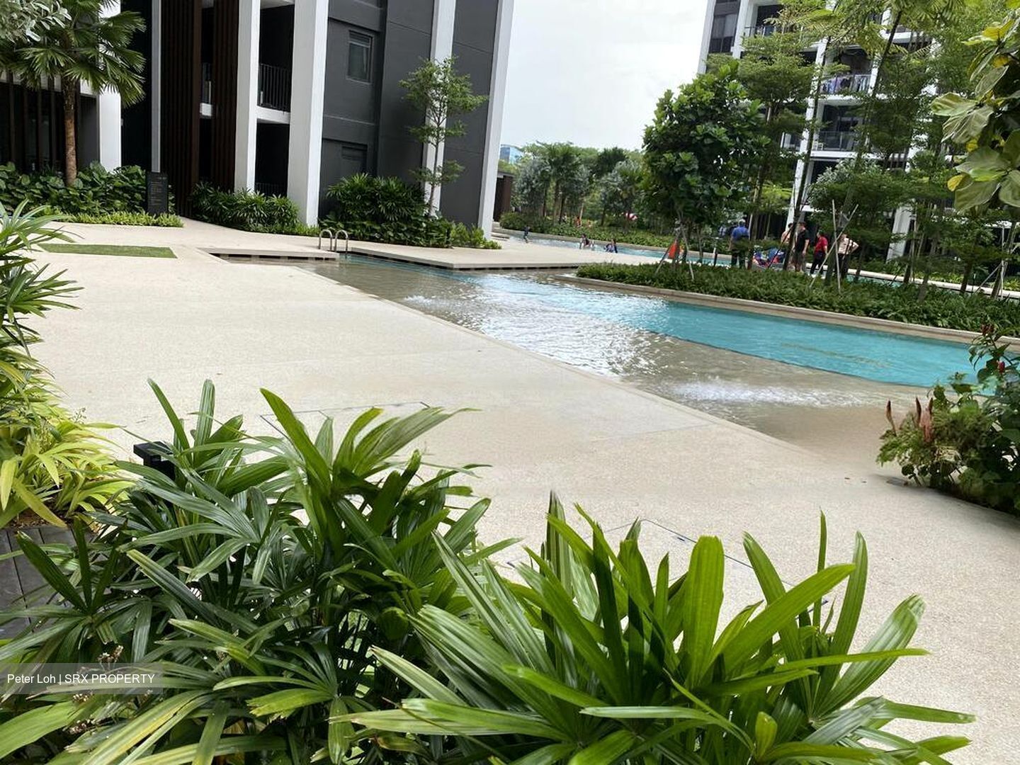 Botanique At Bartley (D19), Condominium #484694341